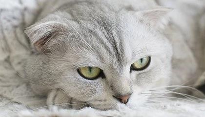 梅河口伴游,定制QQ:3494206190微信:act1322